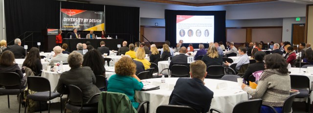 Diversity by Design 2